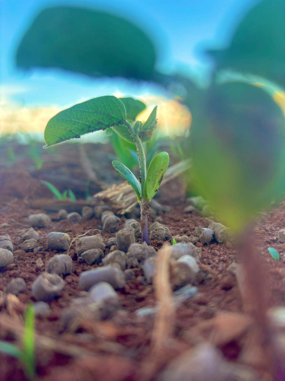 WhatsApp Image 2024-10-29 at 18.04.43.jpeg